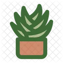 Aloe Vera Succulent Aloe Icon