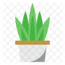 Aloe Vera Plant Nature Icon