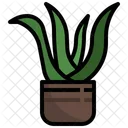 Aloe Vera Plant Pot Farming And Gardening Icon