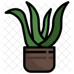 Aloe Vera  Symbol