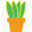 Aloe Vera Plant Icon