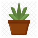 Aloe Vera Succulent Plant Icon