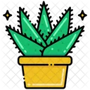 Aloe Vera Succulent Herbal Icon