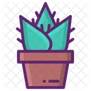 Aloe Vera Succulent Herbal Icon