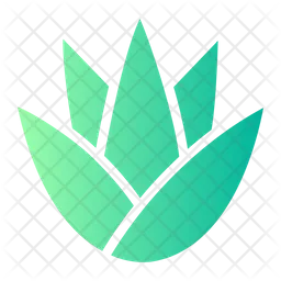 Aloe Vera  Icon