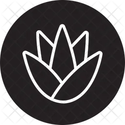 Aloe Vera  Symbol