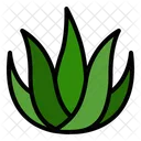 Aloe vera  Icon