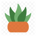Aloe Vera Plant Nature Icon