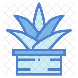 Aloe Vera  Icon