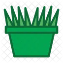 Plant Colorfill Icon
