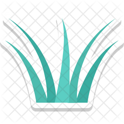Aloe Vera Icon