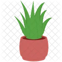 Aloe Vera Planta Naturaleza Icono