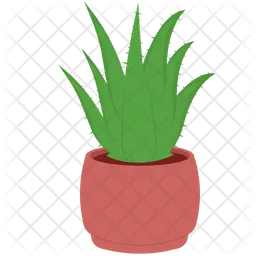 Aloe vera  Icon