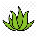 Plant Nature Succulent Icon