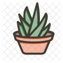 Plant Nature Succulent Icon