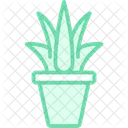 Aloe Vera Gel  Symbol