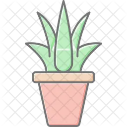 Aloe vera gel  Icon