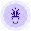 Aloe Vera Gel Color Circle Icon Icon