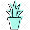 Aloe Vera Gel Color Shadow Thinline Icon Icon