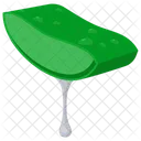 Aloe vera  Icon