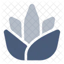 Aloe Vera  Icon