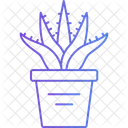 Aloe Vera Plant Nature Icon