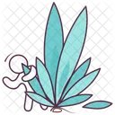 Aloe Vera  Icon
