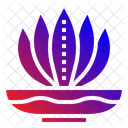 Aloe Vera  Icon