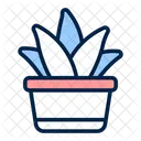 Aloe Vera Barbadensis Bioscience Icon