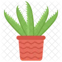 Aloe Vera  Icon