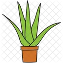 Aloe Vera  Icon