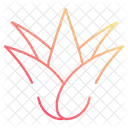 Aloe vera  Icon