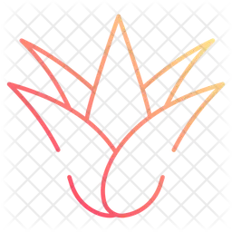 Aloe vera  Icon