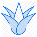Aloe vera  Icon