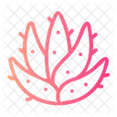 Aloe Vera  Icon