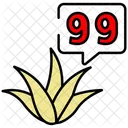 Aloe Vera Succulent Plant Icon