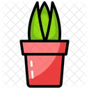 Aloe Vera Topfpflanze Pflanze Symbol