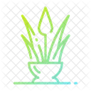 Aloe Vera Plant Healthy Skin Icon