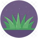Aloe Vera  Icon