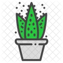 Aloe Vera Cactus Icon