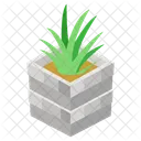Aloe Vera Evergreen Succulent Icon
