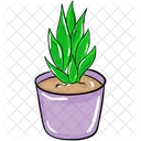 Aloe Vera Plant Agave Pot Icon
