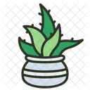 Aloe Vera Leaf Aloe Icon