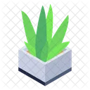 Indoor Plant Houseplant Decorative Plant Icon
