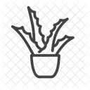 Aloe Vera  Icon