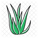 Aloe vera  Icon
