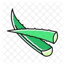 Aloe vera  Icon