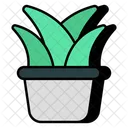 Aloe vera  Icono