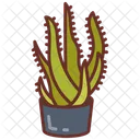 Aloe Vera Plant Bushes Icon