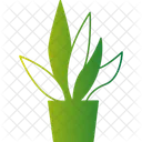 Aloe Vera Pflanze  Symbol